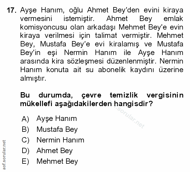 Soru 17