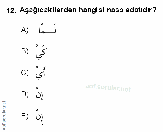 Soru 12