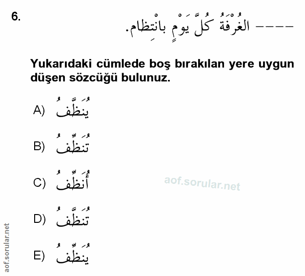 Soru 6
