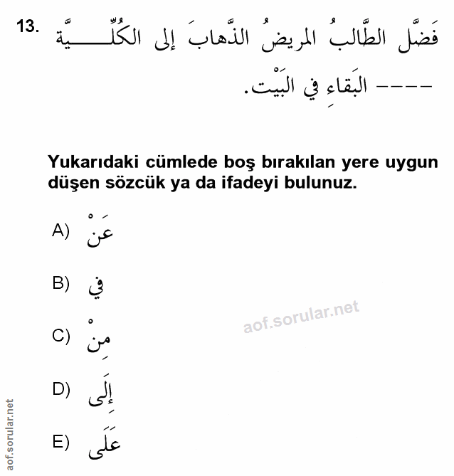 Soru 13