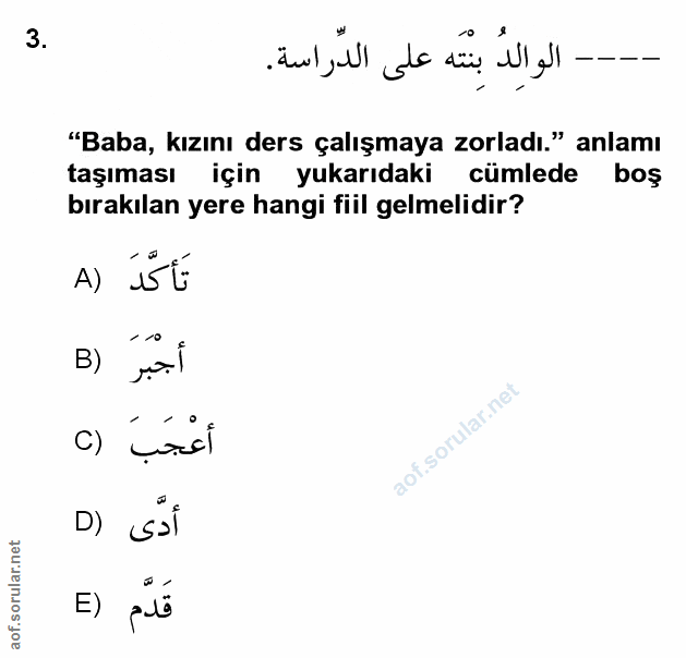 Soru 3