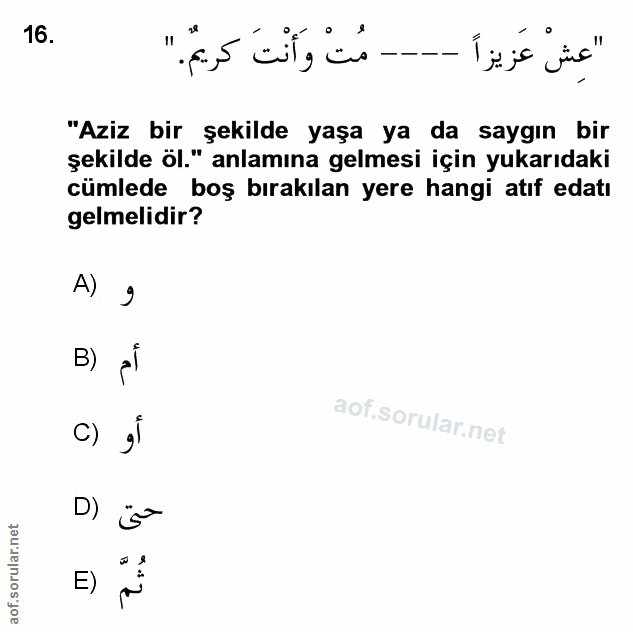 Soru 16