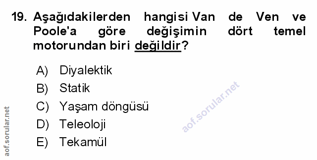 Soru 19