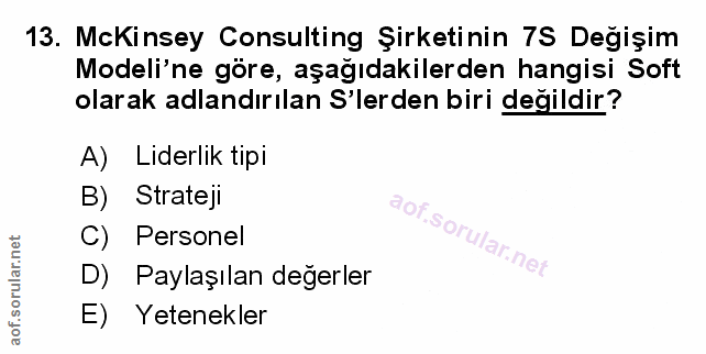 Soru 13