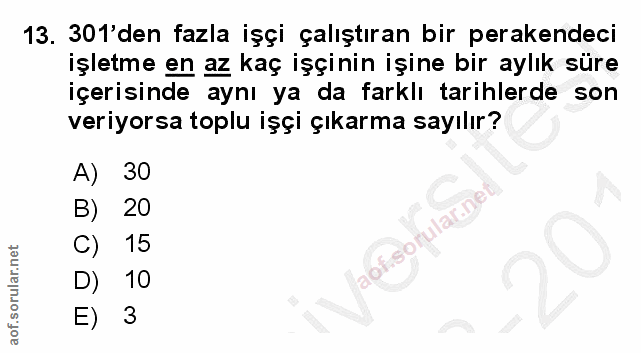 Soru 13