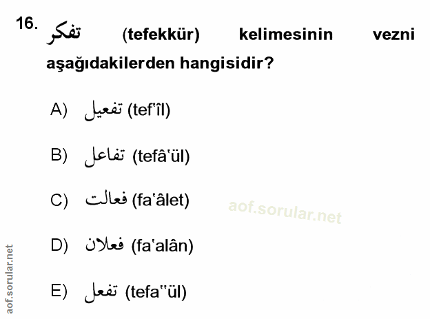 Soru 16