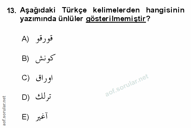 Soru 13