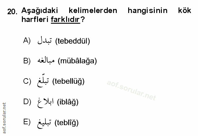 Soru 20