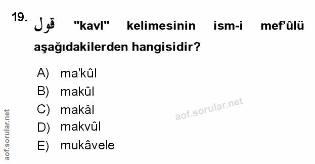 Soru 19