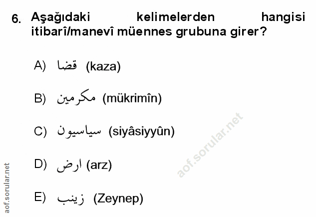 Soru 6