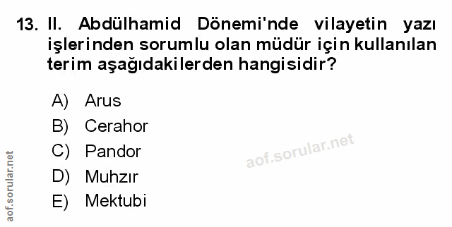 Soru 13