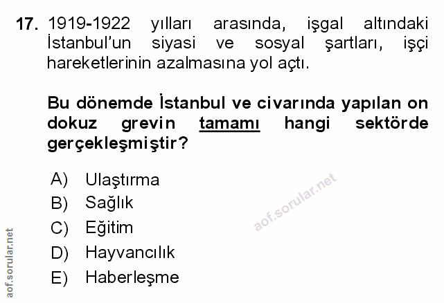 Soru 17