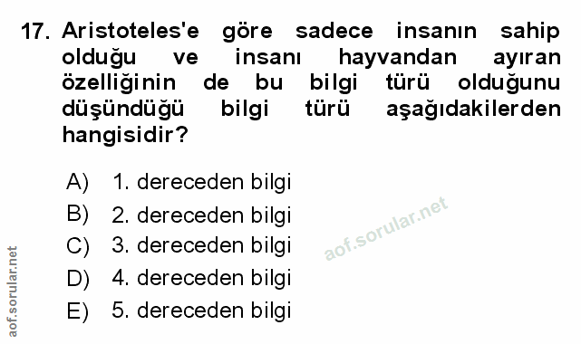 Soru 17