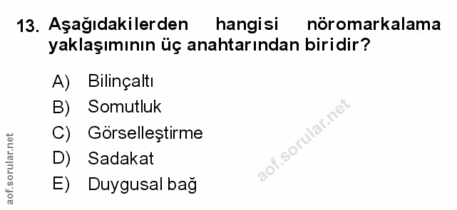 Soru 13