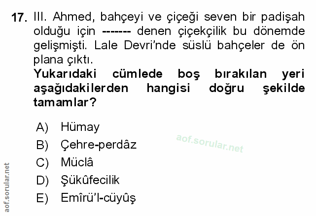Soru 17
