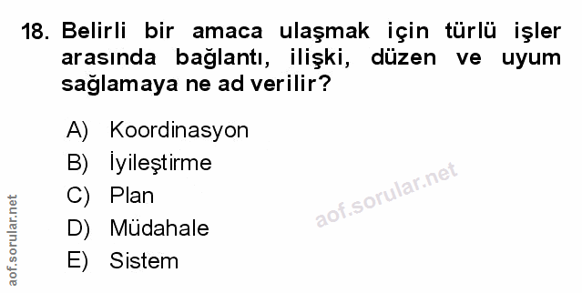 Soru 18