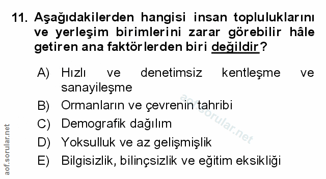 Soru 11