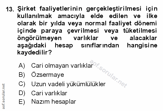 Soru 13