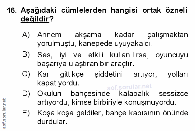 Soru 16