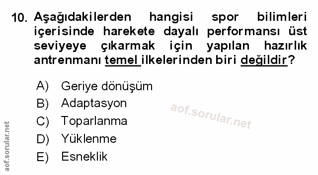 Soru 10