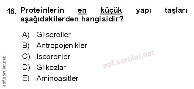 Soru 16