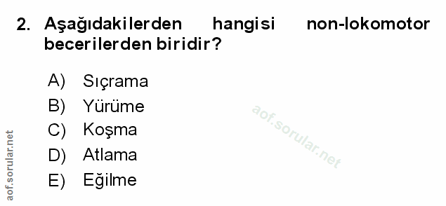 Soru 2