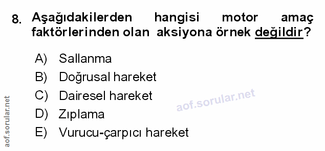 Soru 8