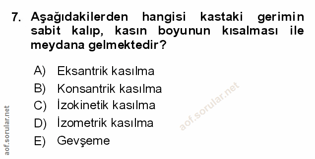 Soru 7