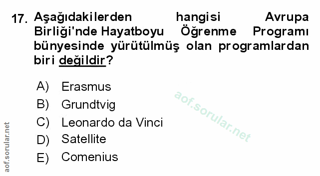 Soru 17