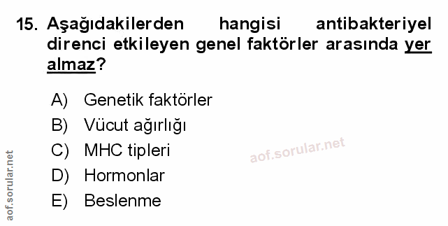 Soru 15