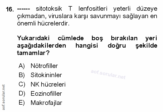Soru 16