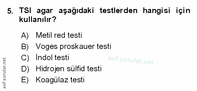 Soru 5