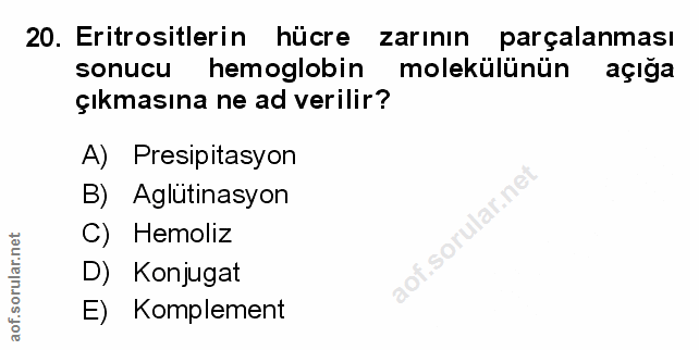 Soru 20