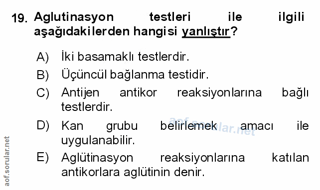 Soru 19
