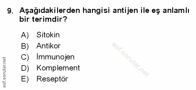 Soru 9