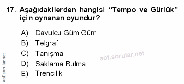 Soru 17