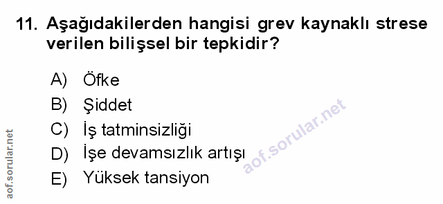 Soru 11