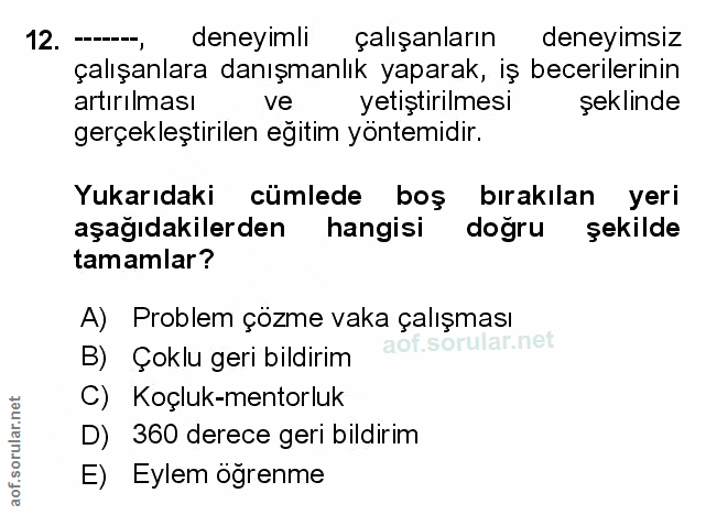 Soru 12