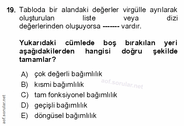Soru 19