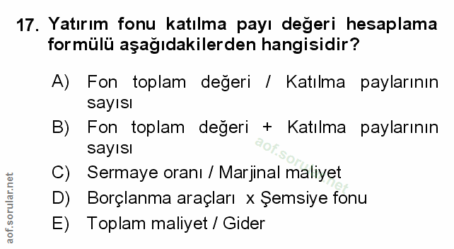 Soru 17