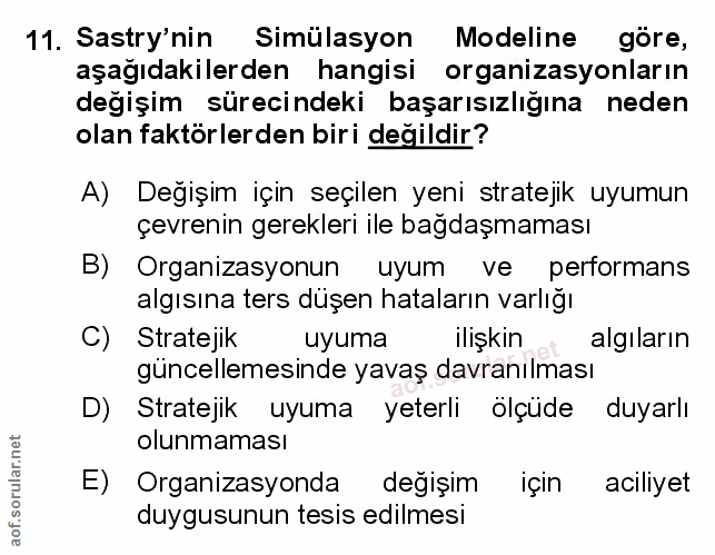 Soru 11