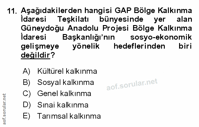 Soru 11