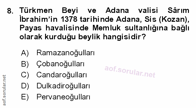 Soru 8