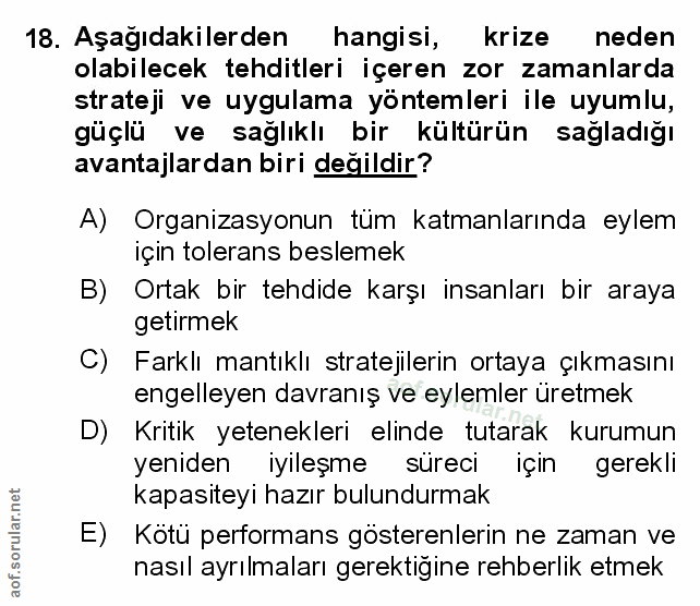 Soru 18