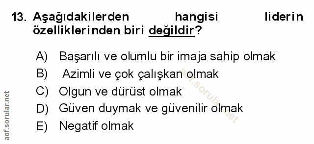 Soru 13