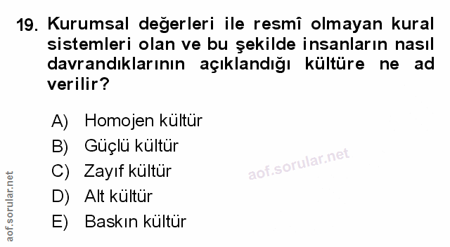 Soru 19