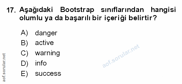 Soru 17