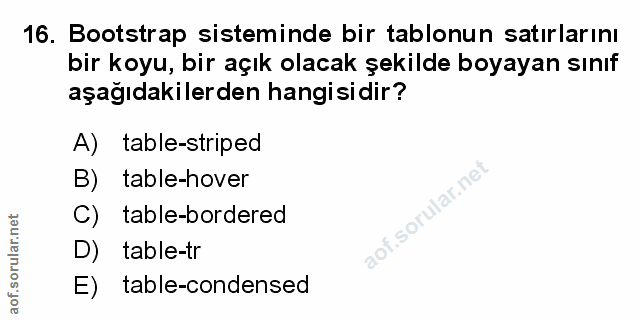Soru 16