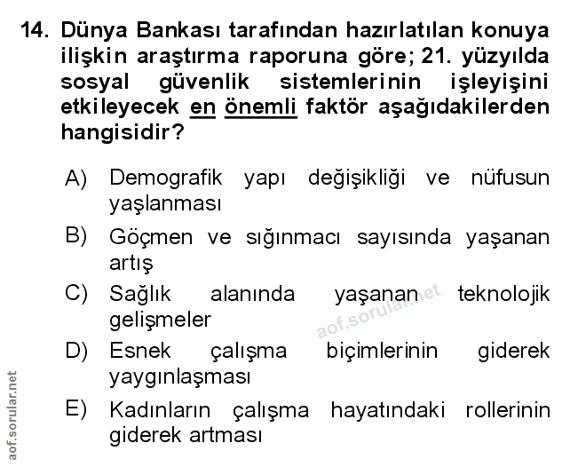 Soru 14
