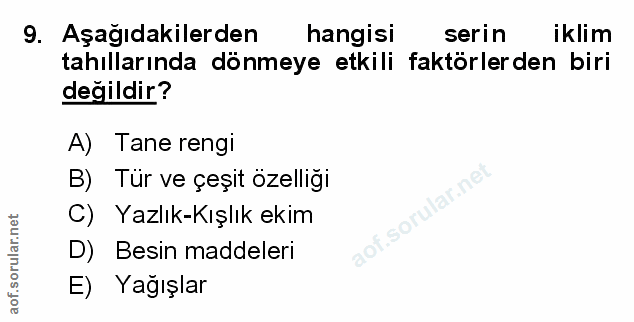 Soru 9